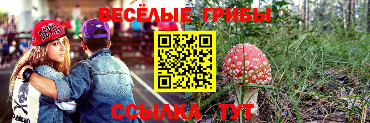 Псилоцибиновые грибы MAGIC MUSHROOMS Новосибирск
