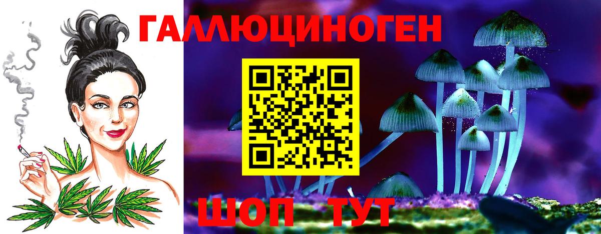 Псилоцибиновые грибы Psilocybe  Галлюциногенные грибы мицелий  Вход с VPN  Новосибирск 